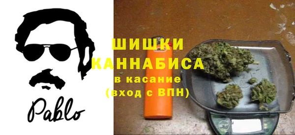 прущие крисы Арсеньев