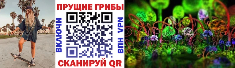 купить наркоту  Реж  Псилоцибиновые грибы мицелий 